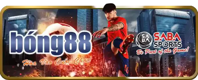 Hình ảnh minh họa các quy tắc và điều khoản của kwin68 chính thức